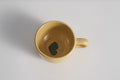 8oz Summer Centella — The Coffee Cup
