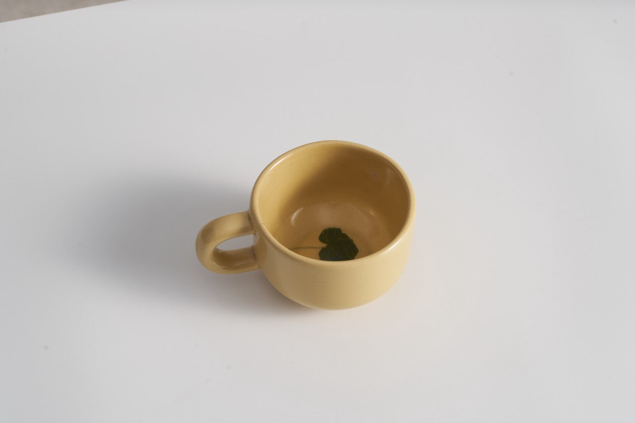 8oz Summer Centella — The Coffee Cup