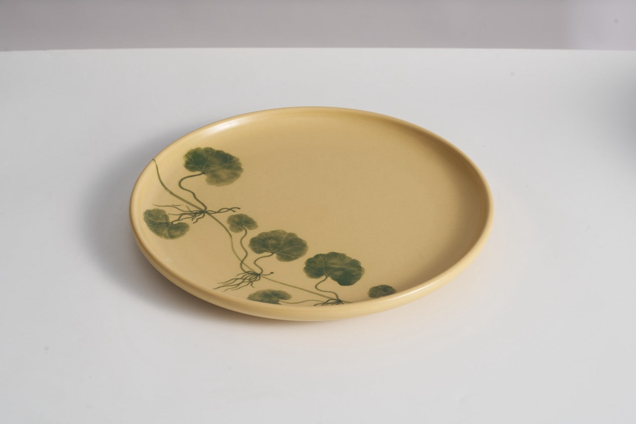 10" Dĩa Rau Má Pennywort — The Dinner Plate