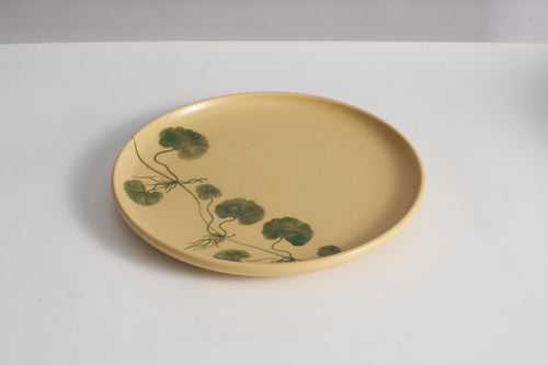 10" Dĩa Rau Má Pennywort — The Dinner Plate