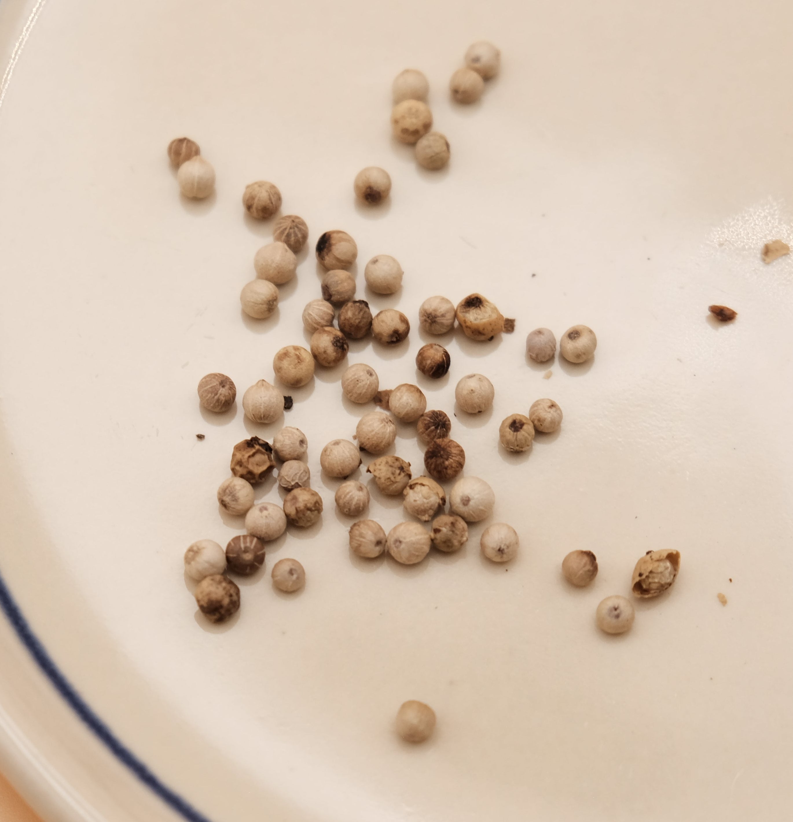 PHÚ QUỐC WHITE PEPPERCORNS 1.76 oz/50 g